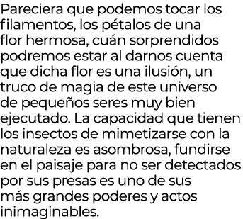 Pareciera que podemos tocar los filamentos, los p talos de una flor hermosa, cu n sorprendidos podremos estar al darn...