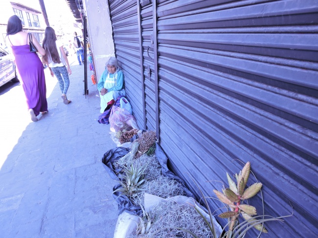 foto:Guadalupe Alcántar Yáñez  - lo hecho en México
