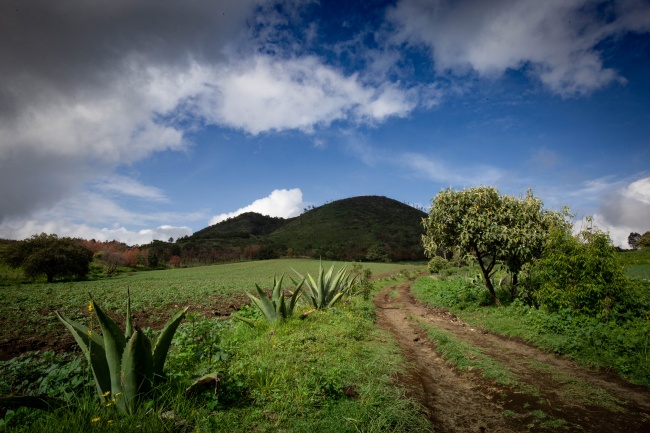 foto:Centéotl Molotla Villarruel  - lo hecho en México