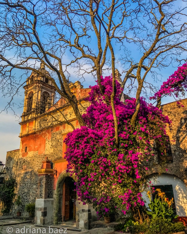 foto:adriana.baezag@gmail.com  - lo hecho en México
