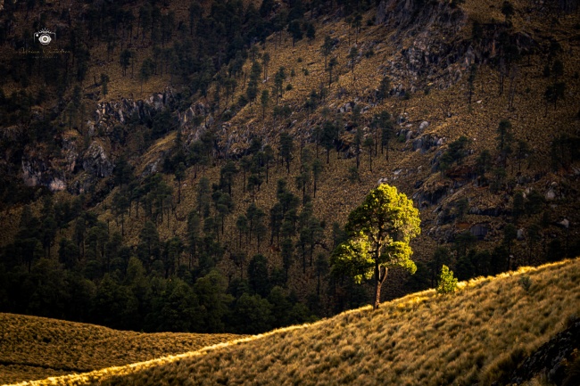 foto:Adrian Gutiérrez Pérez  - lo hecho en México