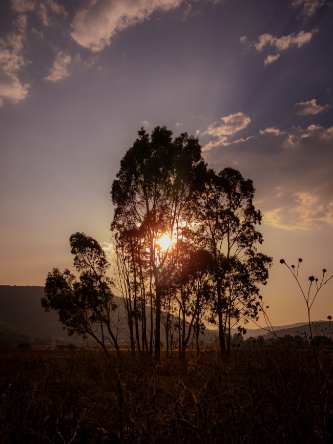 foto:Diego Armando Rivera Zárate   - lo hecho en México