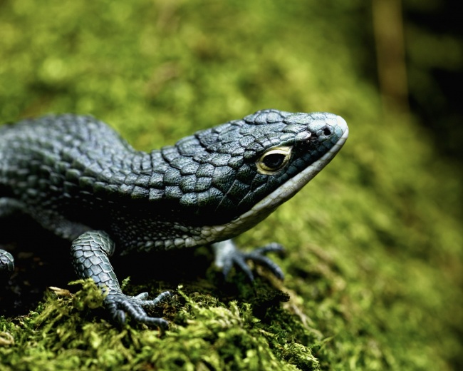 foto:Rubén Edmundo Hernández Cuevas   - lo hecho en México