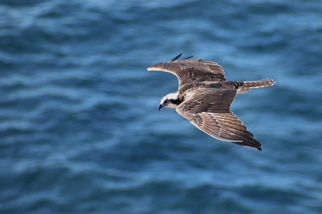 foto:Axel Alejandro Vásquez Méndez  - lo hecho en México