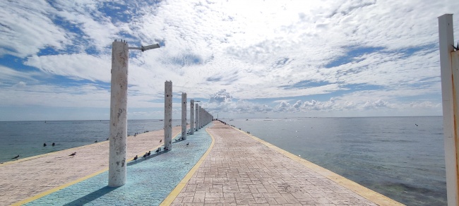 foto:Felipe Sandoval Casas   - lo hecho en México