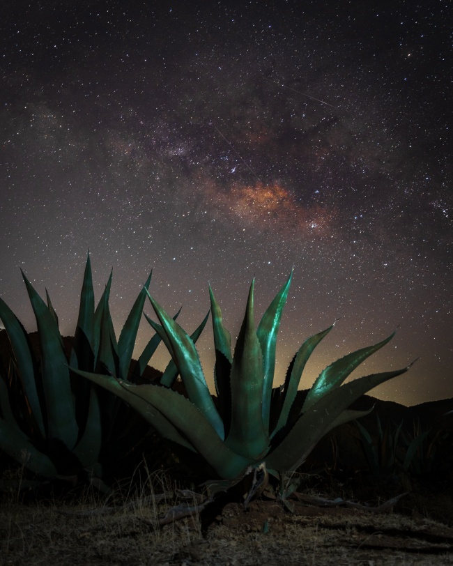 foto:EDUARDO FERNANDO GONZALEZ ACOSTA  - lo hecho en México