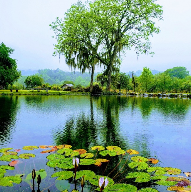 foto:Reynaldo Garza Marroquin  - lo hecho en México
