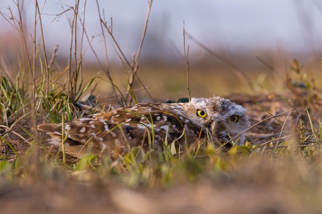 foto:Leobardo Millán Meneses  - lo hecho en México