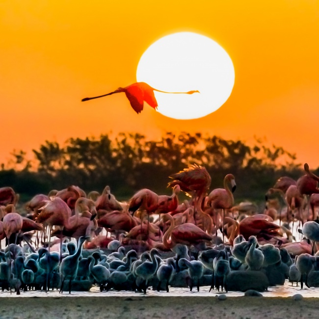 foto:Miguel Montes Rueda  - lo hecho en México