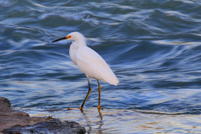 foto:Jesús Corona Lozano - lo hecho en México