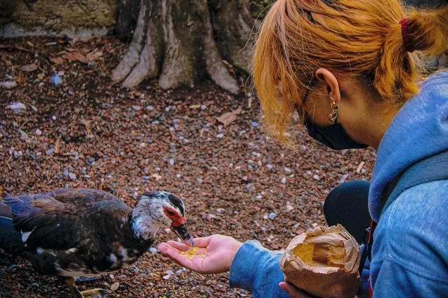 foto:Brian Salamanca Solano - lo hecho en México