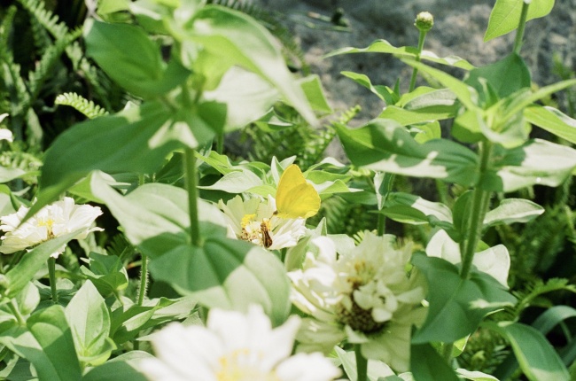 foto:Victoria Treviño  - lo hecho en México