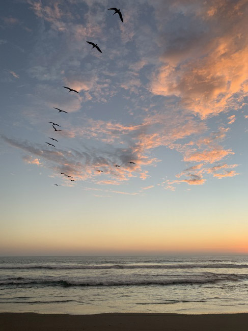 foto:García olvera Carlos  - lo hecho en México