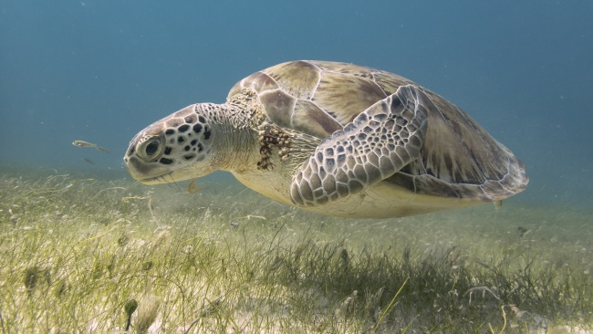 foto:Selene Erantzcani Jacobo Cabral - lo hecho en México