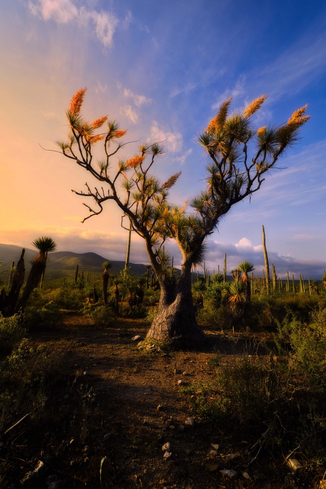 foto:Arturo Leon Diaz  - lo hecho en México
