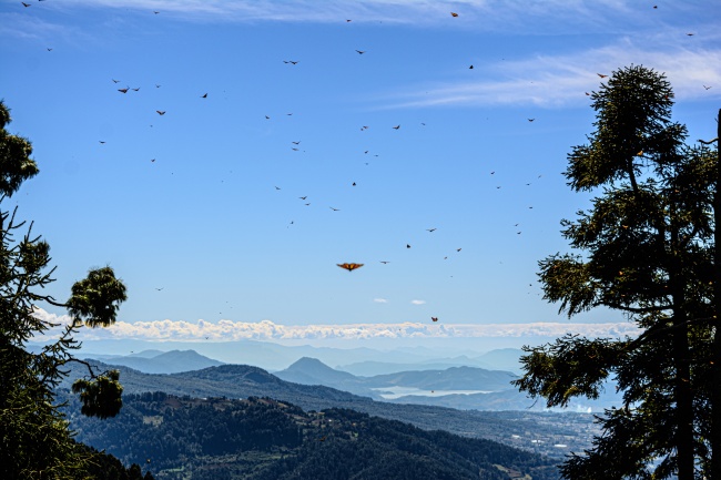 foto:Eduardo David Alvarez Camarena  - lo hecho en México