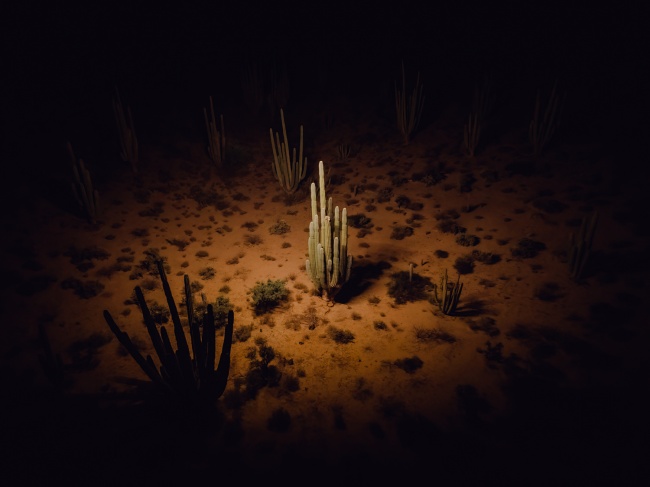 foto:Sebastian Valdez Gomez - lo hecho en México