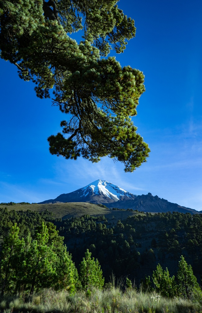 foto:Mario Alberto García Contreras  - lo hecho en México