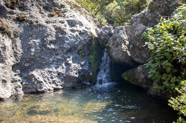 foto:Carol Hernandez Robles  - lo hecho en México