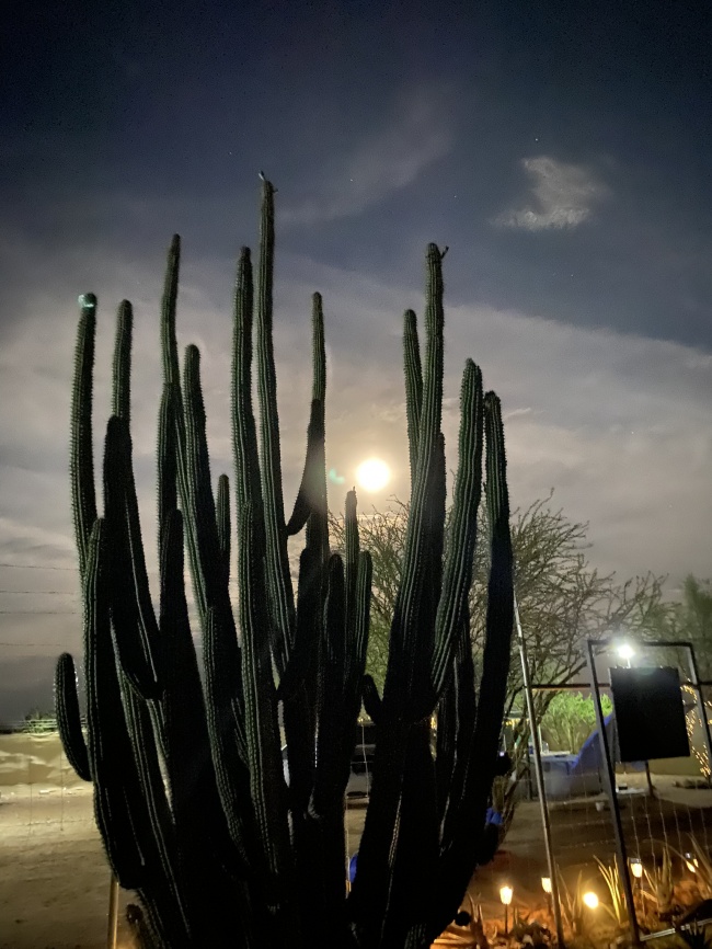 foto:Denisse Alejandra Torres Romero  - lo hecho en México