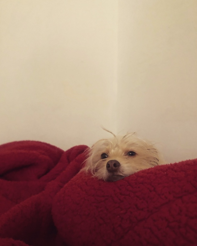 foto:Juan Manuel Becerra Salazar  - lo hecho en México