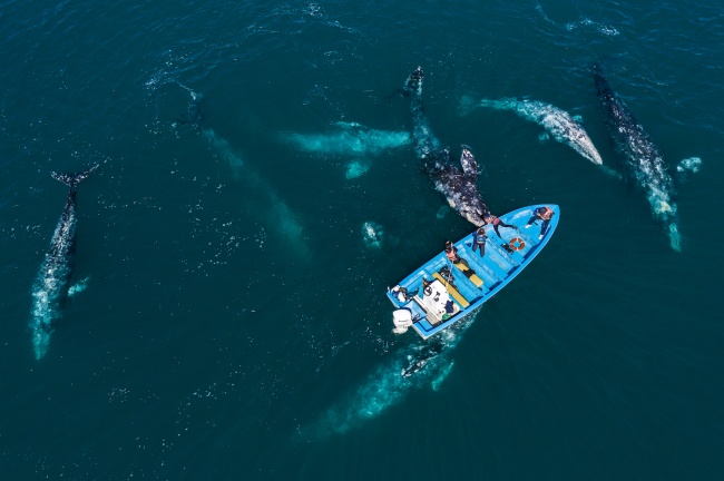 foto:PABLO IGNACIO OSORIO TORRES  - lo hecho en México