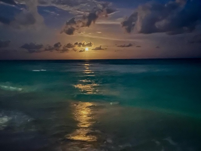 foto:Gustavo Vázquez Jiménez  - lo hecho en México