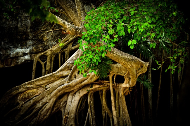 foto:Lizzie Evelyn Solis Reyes  - lo hecho en México