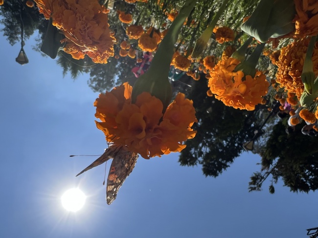 foto:Jesús Maldonado Villegas  - lo hecho en México