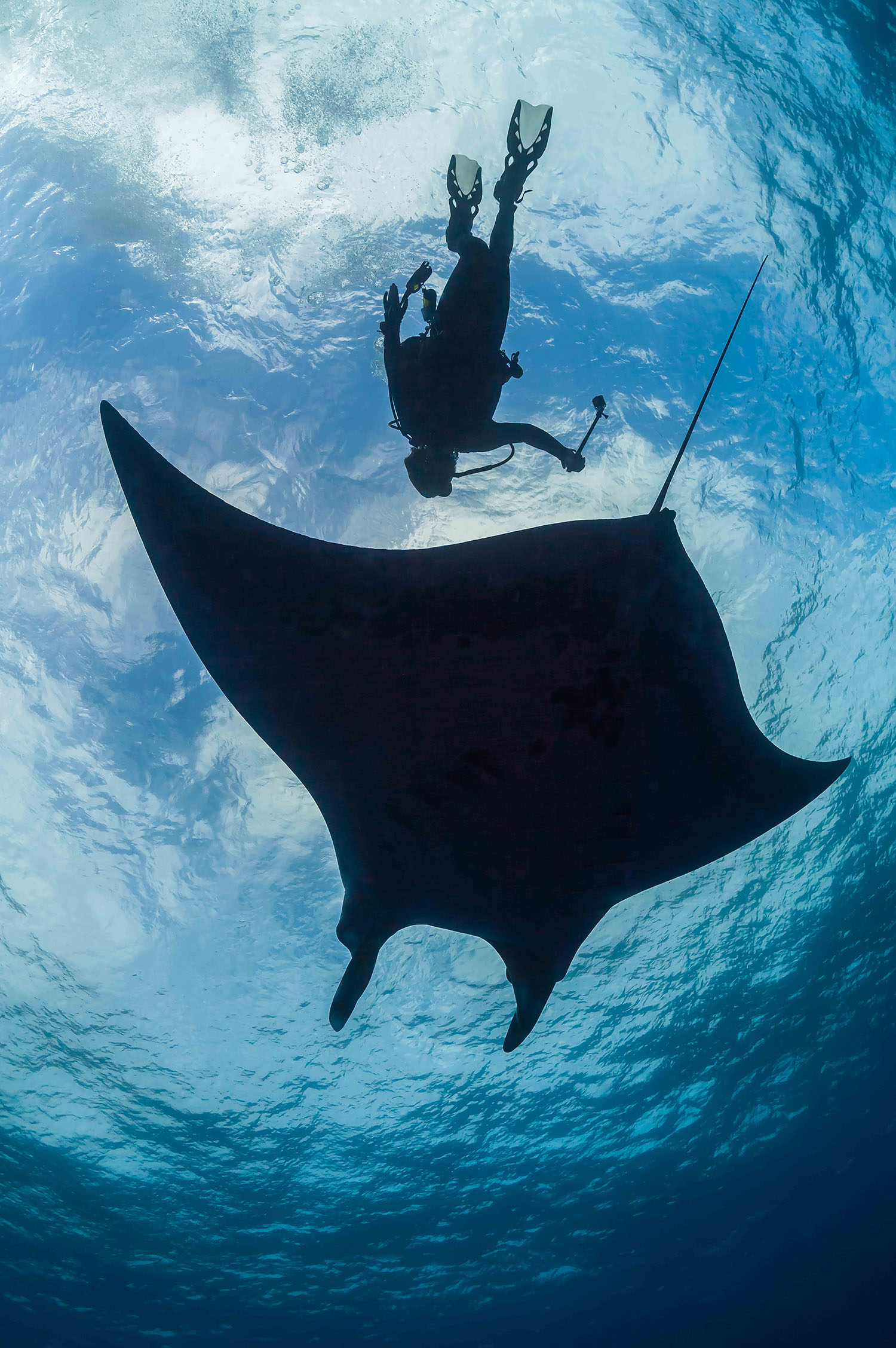 foto:Alejanro Topete Camarena  - lo hecho en México