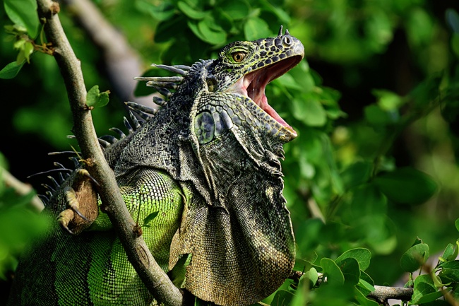 foto:MANUEL DE JESUS ALVARADO DURAN - lo hecho en México