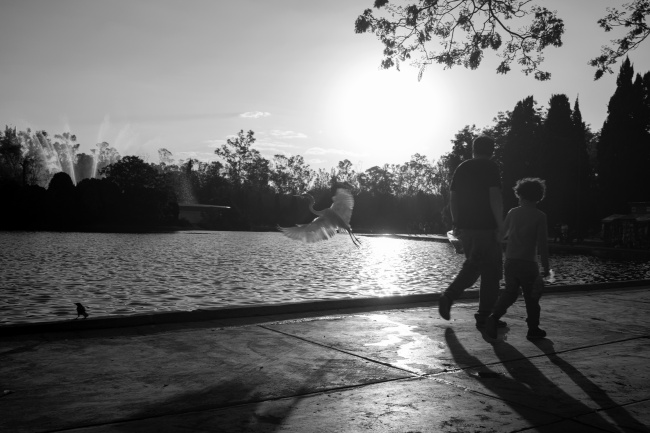 foto:pablo armijo pérez oronoz - lo hecho en México