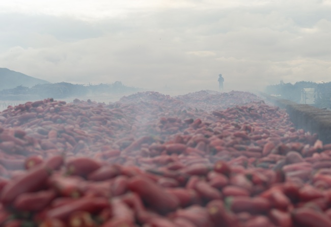 foto:TELMA ALONDRA RANGEL GABALDON - lo hecho en México