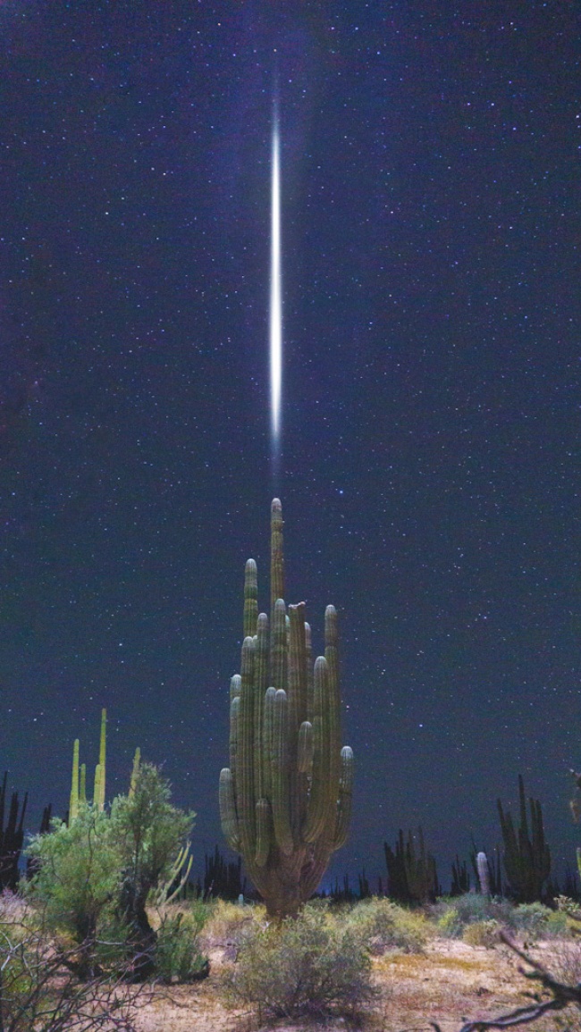 foto:Jesús Agustín Román Mendoza  - lo hecho en México