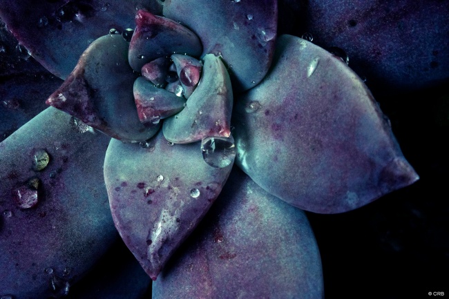 foto:Claudia Guadalupe Rodríguez Bernal - lo hecho en México