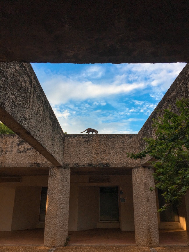 foto:Beatriz Urcola Flores  - lo hecho en México