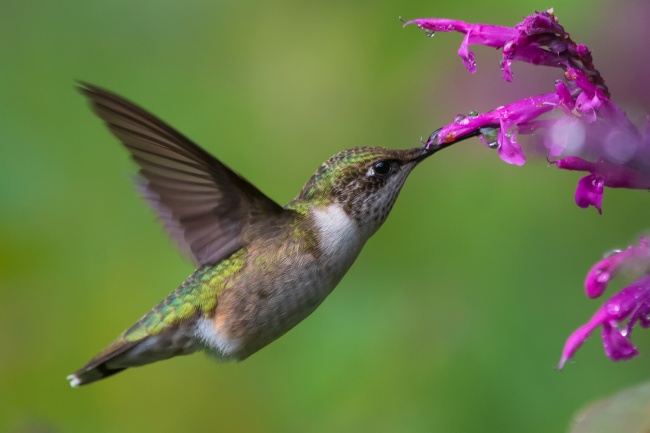 foto:Ulises León Pérez  - lo hecho en México