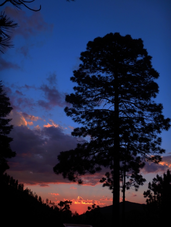 foto:Luis Angel Pastrana de la Garza  - lo hecho en México
