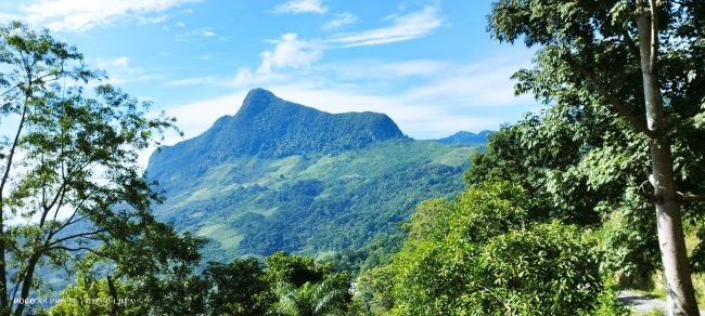 foto:Diego edel limón flores   - lo hecho en México