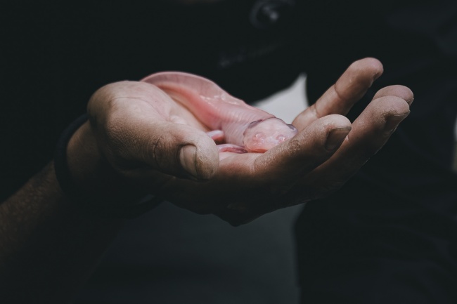 foto:Luis José Avila García  - lo hecho en México