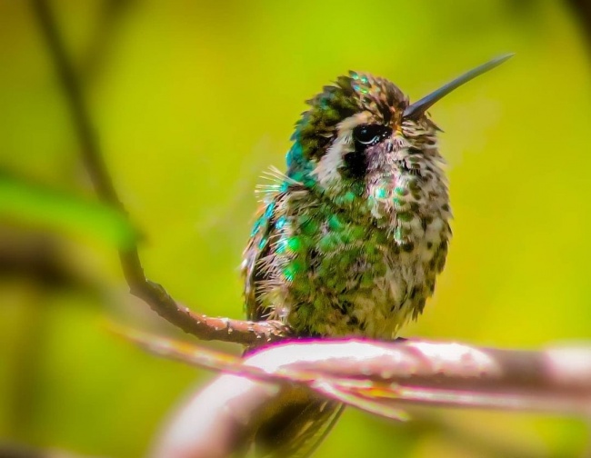 foto:Erick David Torres Roque   - lo hecho en México