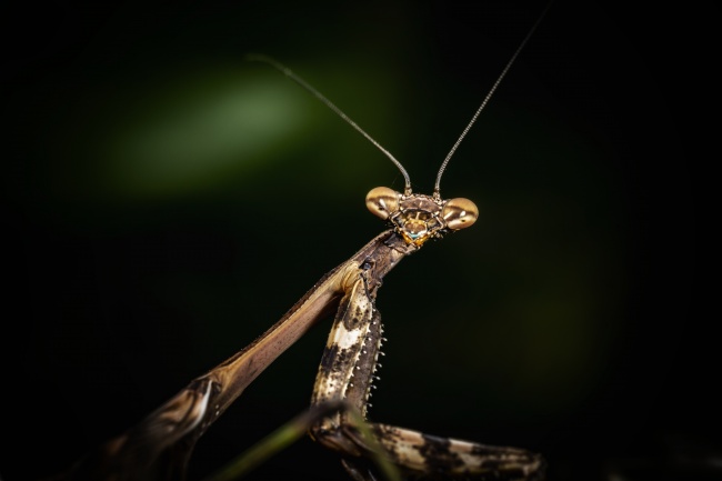 foto:Noé Marure Mendoza  - lo hecho en México