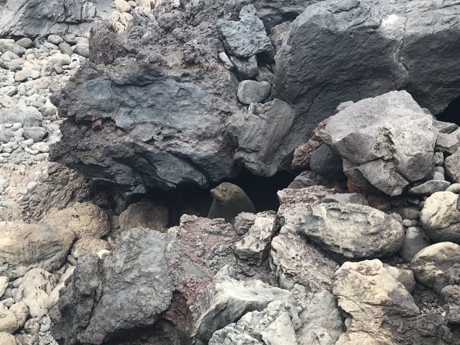 foto:Marisol Dominguez Orantes  - lo hecho en México