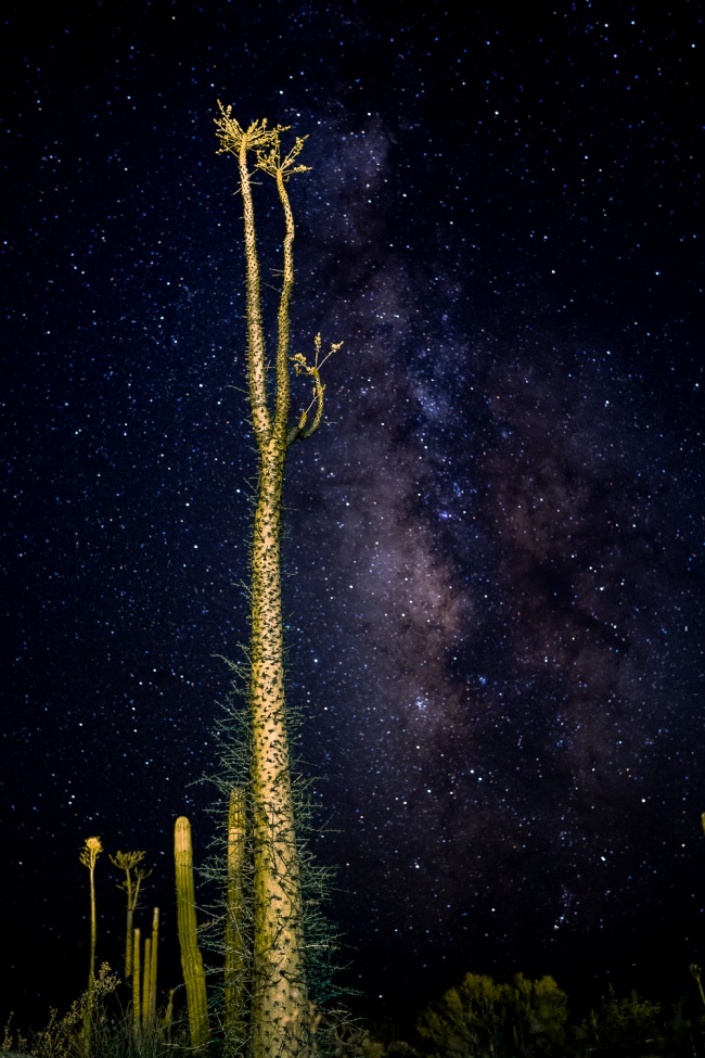 foto:Ernesto Araiza  - lo hecho en México