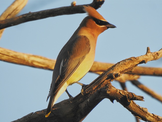 foto:Elizabeth Torres Barajas  - lo hecho en México