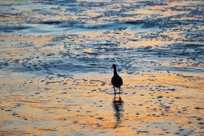 foto:Georgina Morales González   - lo hecho en México