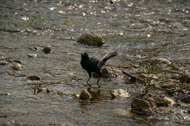 foto:Sofía Salgado   - lo hecho en México