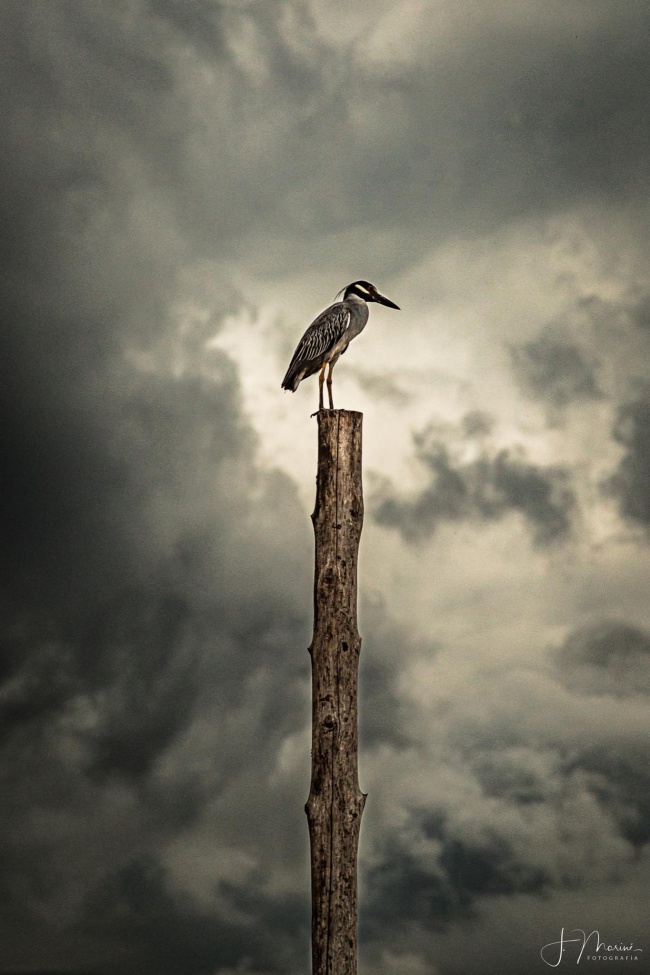 foto:Jorge Magallón Mariné  - lo hecho en México