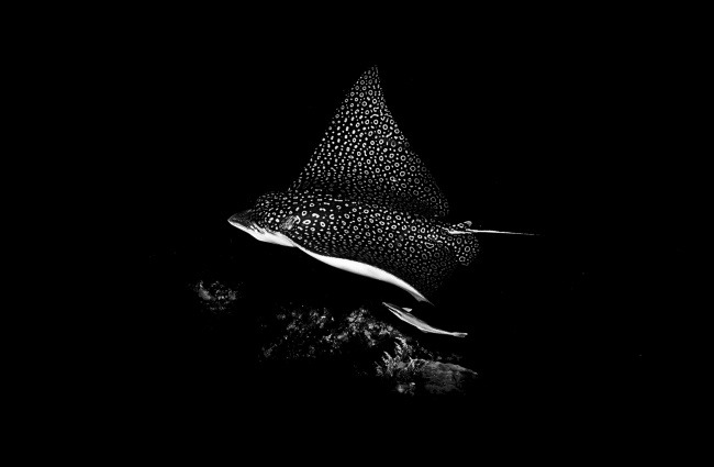 foto:ANTONIO ROBLES AVILÉS   - lo hecho en México