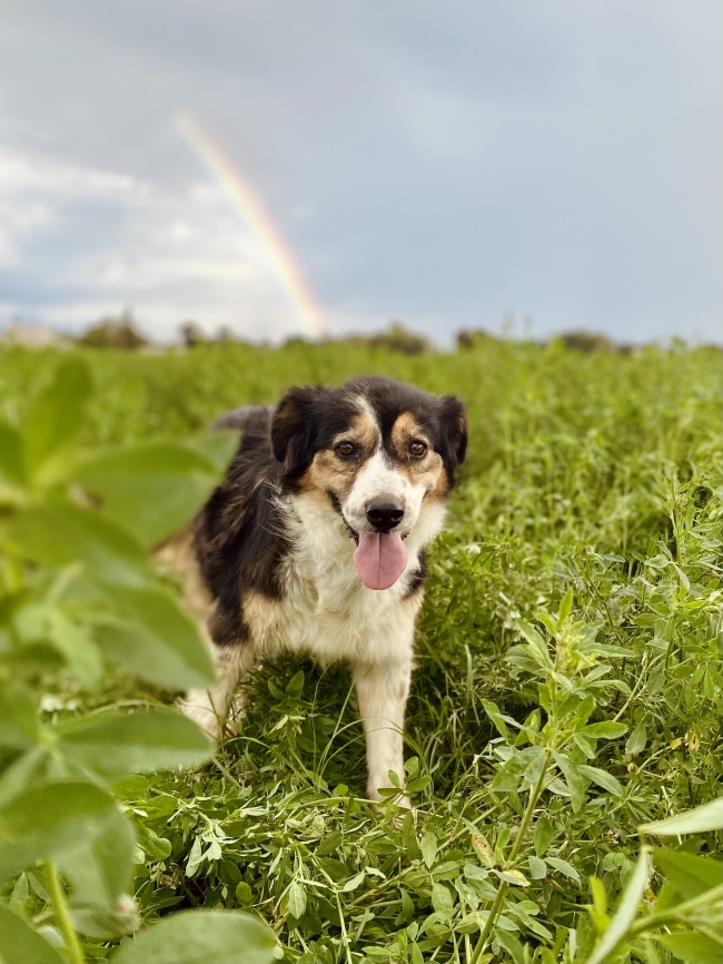 foto:Estefanía Bagatella Alvarez   - lo hecho en México